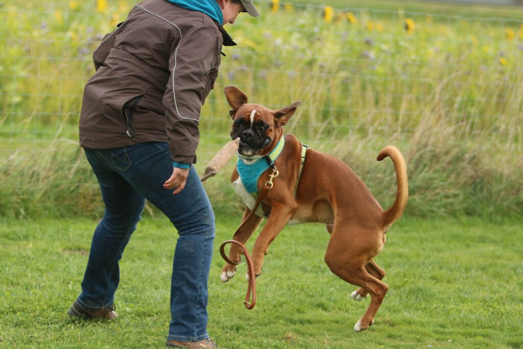 Roots - die Basis für ein harmonisches, aktives Miteinander